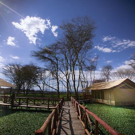 Hotel Kiboko Luxury Camp Naivasha Exteriér fotografie